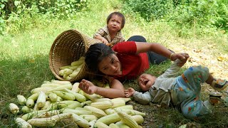 Harvest boiled corn and bring it to the market to sell  buy new clothes to keep your children warm [upl. by Oulman379]