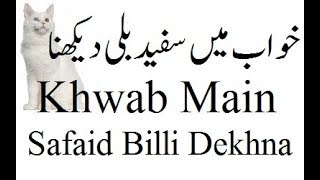 Khwab Main Safaid Billi Dekhna  خواب میں سفید بلی دیکھنا  Buy Pet Online [upl. by Aniuqahs786]