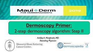 The 2Step Dermoscopy Algorithm Step II [upl. by Claudell]