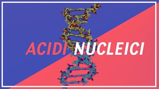 FUNZIONI delle biomolecole  Violabiochimica [upl. by Ashlie]