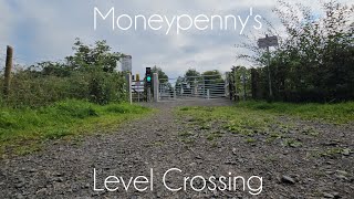 Moneypennys Level Crossing Craigavon Thursday August 01082024 [upl. by Anidualc]