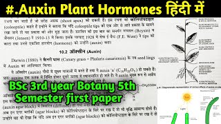 Auxin plant hormone in Hindi  BSc 3rd year Botany 5th semester first Paper  phytohormones [upl. by Ddat80]