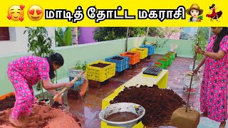 🥰😍மாடித் தோட்ட மகராசி👩🏻‍🌾💃🏻 Extended terrace garden 🌈🍋🍆🍅🌶🥦🥕 rajkarthi viral garden [upl. by Lerraj243]