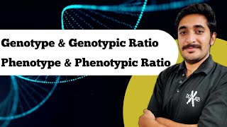 What is Genotype Phenotype Genotypic Ratio and genotypic Ratio  Generics Terminology  Hindi [upl. by Burrill]