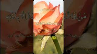 Aytul kurse hearts teaching telawat allah love [upl. by Druci]