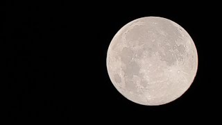 Observando la Super Luna llena de noviembre en vivo [upl. by Ewolram]