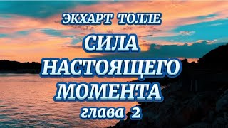 СИЛА НАСТОЯЩЕГО ЭКХАРТ ТОЛЛЕ глава 2 аудиокнига [upl. by Shuler984]