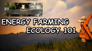 BDO Energy Guide  Ecology 101  Tips and Methods for getting energy FAST [upl. by Terrence]