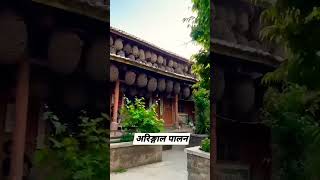 अरिङ्गल पालन Aringal Palan in Nepal shorts viralvideo aringal farming [upl. by Haimes]