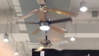 3 westinghouse ceiling fans [upl. by Raffo]