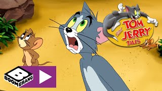 Tom amp Jerry  Dinosaur Island  Boomerang UK [upl. by Aneel]