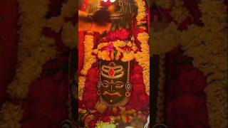 Divana hu mahakal ki bakti ka mahakaleshwar basm aarti trangar mhakaleshwar [upl. by Naltiac]