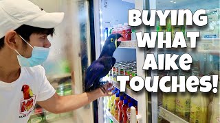 BUYING MY PARROT EVERYTHING HE TOUCHES Bumili ng alak si Aike lasing kami HYACINTH  Murillo Bros [upl. by Notsnorb]