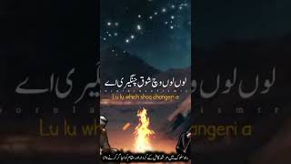 status qawwali sufism viralvideo [upl. by Nlocnil]