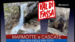 CANAZEI CASCATE E MARMOTTE [upl. by Ahsasal979]