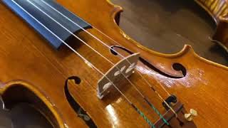 My latest violin’s with certificates [upl. by Greggory]