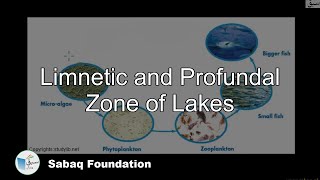 Limnetic and Profundal zone of lakes Biology Lecture  Sabaqpk [upl. by Vel]