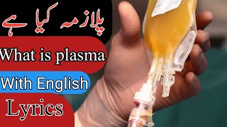 what is plasma in urdu with english lyrics [upl. by Quenby]