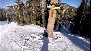 Fast Skiing  Taos Ski Valley New Mexico [upl. by Analaf]