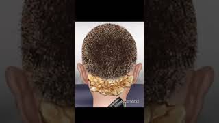 Lice treatment 🪱ASMR asmr animation satisfyingvideo viralshorts [upl. by Reed]