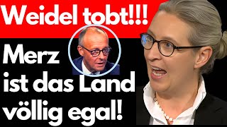 quotPURE HEUCHELEIquot WEIDEL ENTLARVT den PERFIDEN PLAN von MERZ💥 [upl. by Hsemin]