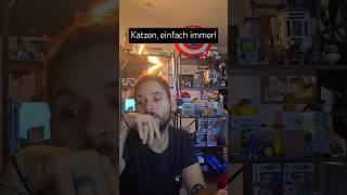 Katzen 247 dergriechey katzenaufyoutube katzenverhalten catslover comedy relatable [upl. by Sitnik]