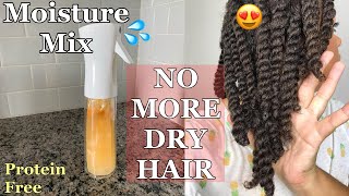 NO MORE DRY HAIR How to Make a Moisturizer PROTEIN FREE💦  Natural Hair Moisture Mix [upl. by Oimetra]