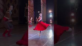 Charlotte Ballets Nutcracker  On stage thru December 22 [upl. by Tomasine]