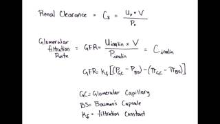 Equation Rapid Review Renal Clearance amp Glomerular Filtration Rate [upl. by Alvin]