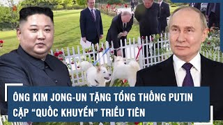 Ông Kim Jongun tặng Tổng thống Putin cặp “quốc khuyển” Triều Tiên l VTs [upl. by Deeraf333]