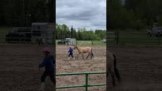 4h horse showmanship 2024 [upl. by Ilenna626]