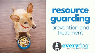 Resource Guarding Dogs Prevention and Treatment [upl. by Aernda]