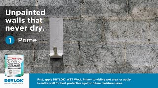 NEW DRYLOK® Wet Wall Bonding Primer [upl. by Henrieta]