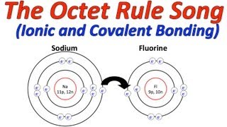 Octet Rule Song [upl. by Giselle]