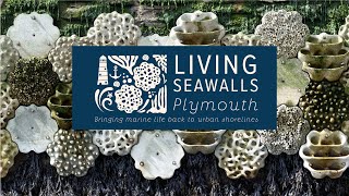 Living Seawalls in Plymouth [upl. by Ettenaj]