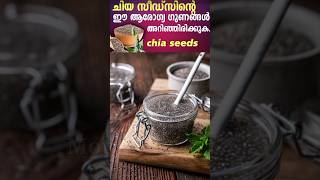 Health Benefits of Chia Seeds shorts trending viral malayalam health healthyfood [upl. by Yanahc]