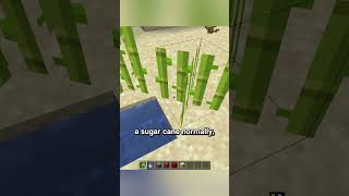 illegal sugar cane [upl. by Yhtnomit]