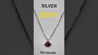 The Exclusive 925 Silver Necklace Youve Never Heard Of [upl. by Nodnyl]