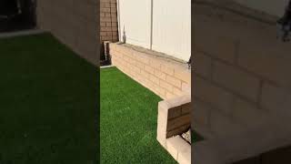 3D Grass Video House Lawn [upl. by Eirovi808]