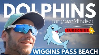 🚀FULL SEND at Wiggins Pass with DOLPHINS [upl. by Gerstner]