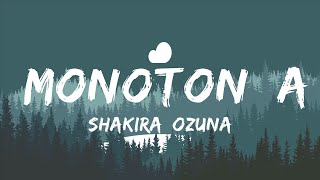 Shakira Ozuna  Monotonía LetraLyrics  25mins Lyrics  Chill with me [upl. by Yak173]