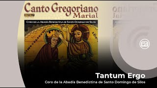 Canto Gregoriano Tantum Ergo  Coro de la Abadía Benedictina de Santo Domingo de Silos [upl. by Tiffany405]