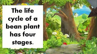 Plant Life Cycle for kids [upl. by Akemehs968]