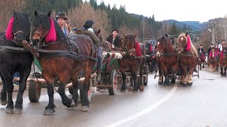 Parada cailor Moldovița  Bucovina 26 Decembrie 2023 [upl. by Tutankhamen554]