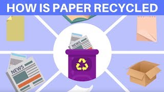 How is Paper Recycled Waste Paper Recycling Process  Recyling for kids  Paper Recycling for kids [upl. by Roberta]