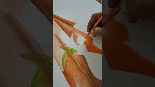 Still life of pencil colour stilllife sketch viralshorts2024 tranding youtubeshorts artislife [upl. by Arnaldo627]