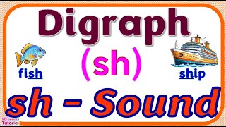 DIGRAPH sh  READING Words amp Sentences with sh Sound Spelt as SH  Liy Learns Tutorial [upl. by Lawtun772]