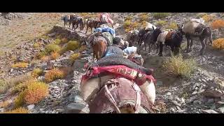 Ralakung is one of the Remotest village in Zanskar of district Kargil [upl. by Hambley]