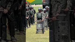 26º BATALHÃO DE INFANTARIA PARAQUEDISTA 🦅🔥 EXERCITO MILITAR PQD ESA ESPCEX AMAN PQDT AGUIA [upl. by Yale]