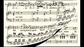 Come per me sereno oggi rinacque il dì La Sonnambula  Maria Barrientos 1906 [upl. by Iv]